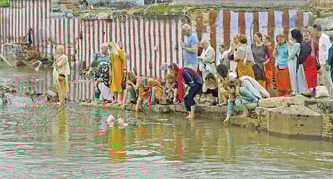 நெல்லையப்பர், குறுக்குத்துறை கோயிலில் எஸ்டோனியா நாட்டினர் வழிபாடு