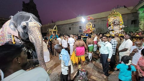 மதுரை மீனாட்சி அம்மன் கோயிலில் பொங்கல் விழா: கல் யானைக்கு கரும்பு கொடுத்த லீலை நிகழ்வு