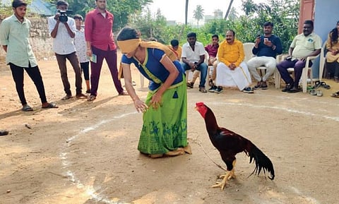 திருச்செங்கோட்டில் சேவல் பிடிக்கும் ஜல்லிக்கட்டு போட்டி: பெண்கள், சிறுமிகள் ஆர்வமுடன் பங்கேற்பு