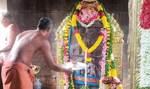 படம்: எம்.நாகராஜன்