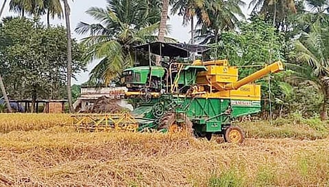 புதுக்கோட்டை மாவட்டத்தில் சம்பா அறுவடை தொடக்கம் - 107 இடங்களில் நெல் கொள்முதல் செய்ய திட்டம்