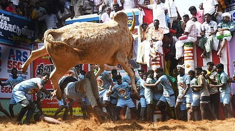 மாடுபிடி வீரர் மதுரை கார்த்திக், காளை உரிமையாளர் திருச்சி குணாவுக்கு கார் பரிசு: அலங்காநல்லூர் ஜல்லிக்கட்டு கோலாகலம்