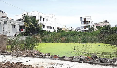 பிரிக்க முடியாதது என்னவோ? - பிருந்தாவன் நகரும் கழிவுநீர் தேக்கமும்!