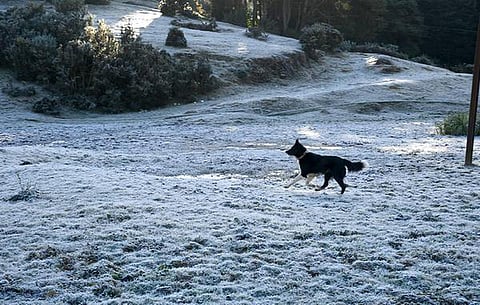 நீலகிரி மாவட்டம் உதகையில் 7 டிகிரி குளிர் பதிவு