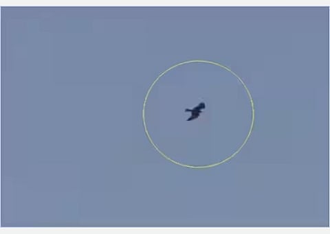 ராமர் கோயிலை வட்டமிட்ட கருடன்