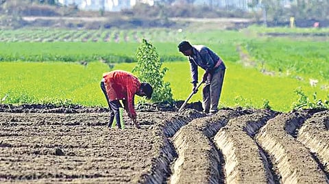 காத்திருக்கும் விவசாயிகள்: கைகொடுக்குமா காவிரி?