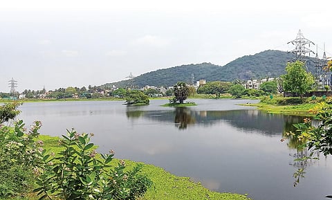 ஈரநிலங்களின் பாதுகாப்பு ஏன் அவசியம்?