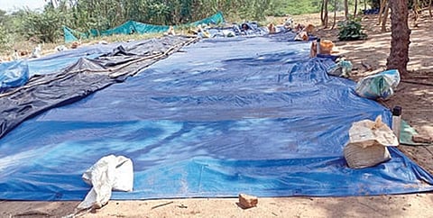 பொற்பனைக்கோட்டை முதல்கட்ட அகழாய்வு நிறைவு: கண்டெடுக்கப்பட்ட பொருட்களை ஆவணப்படுத்தும் பணி தொடக்கம்