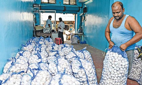 படம்: எஸ்.குரு பிரசாத்