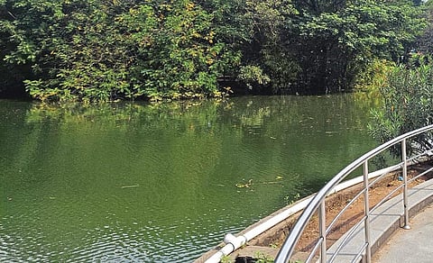 படங்கள்: ம.பிரபு