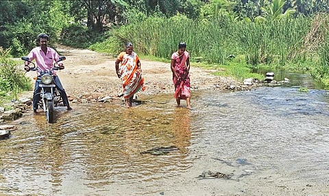 மல்லப்பாடி - மரிமானப்பள்ளி பாம்பாற்று நீரை கடந்து செல்லும் கிராம மக்கள்.(கோப்பு படம்)