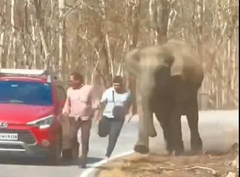 காட்டு யானையிடமிருந்து மயிரிழையில் தப்பிய சுற்றுலா பயணிகள்: ரிஸ்க் எடுக்க வேண்டாமென ஐஎஃப்எஸ் அதிகாரி எச்சரிக்கை