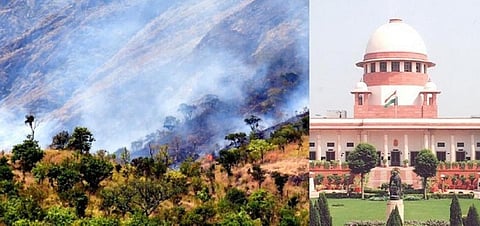 குரங்கனி தீ விபத்தில் சிக்கி 23 பேர் இறந்த சம்பவம் - பெல்ஜியம் நாட்டவருக்கு எதிரான வழக்கு ரத்து