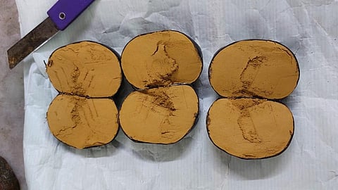 மதுரை விமான நிலையத்தில் பறிமுதல் செய்யப்பட்ட கடத்தல் தங்கம்