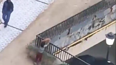 நொய்டாவில் உயரமான கட்டிடத்தில் இருந்து நாய் குட்டியை தூக்கிப்போட்டு சாகடித்த சிறுவன் மீது போலீஸார் வழக்கு பதிவு