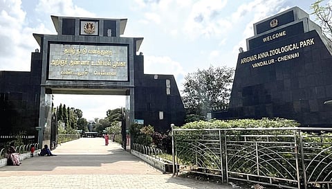 வண்டலூர் பூங்கா தொழிலாளர்களுக்கு பணி நிரந்தரம் கிடைக்குமா? - 11 ஆண்டு கோரிக்கை மீது முதல்வர் கவனம் செலுத்த வேண்டுகோள்