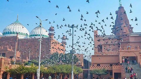 மதுராவில் கோயிலை இடித்து மசூதி கட்டினார் அவுரங்கசீப்: தகவல் உரிமை சட்ட கேள்விக்கு ஏஎஸ்ஐ பதில்