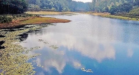 நீர் இருப்பு குறைந்து காணப்படும் உதகை மார்லிமந்து அணை.