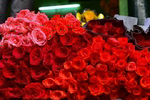 படங்கள்: எஸ்.கிருஷ்ணமூர்த்தி.