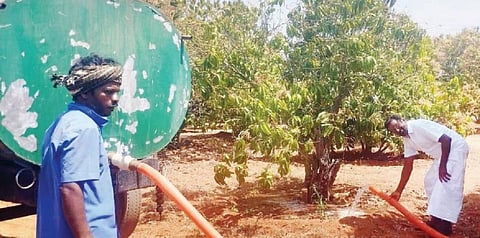 கிருஷ்ணகிரி அருகே எம்.ஜி.அள்ளி பகுதியில் உள்ள தோட்டத்தில் விலை கொடுத்து வாங்கிய தண்ணீரை மா மரத்துக்கு பாய்ச்சும் விவசாயி.