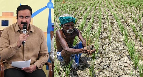 வறட்சியால் சம்பா, தாளடி விளைச்சல் பாதிப்பு: ஏக்கருக்கு ரூ.40,000 வழங்க அன்புமணி வலியுறுத்தல்