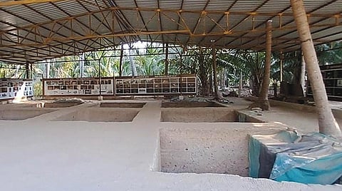 கீழடியில் திறந்தவெளி அகழ் வைப்பகம் அமையவுள்ள பகுதி.