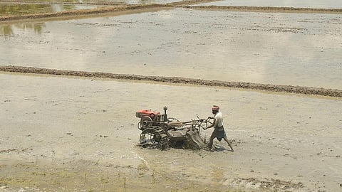 ஒருங்கிணைந்த வேளாண் வளர்ச்சி திட்டத்துக்கு 2024-25-ம் ஆண்டில் ரூ.200 கோடி ஒதுக்கீடு @ வேளாண் பட்ஜெட்