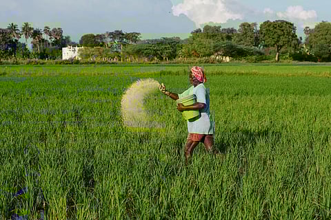 பிரதிநிதித்துவப் படம்