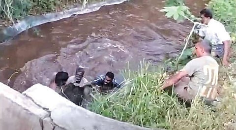 காண்டூர் கால்வாயில் தவறி விழுந்த குட்டி யானையை மீட்ட வனத்துறையினர்