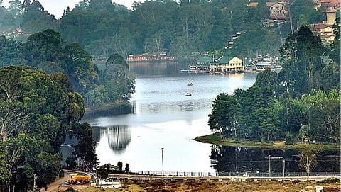 கொடைக்கானலில் புதுப்பொலிவு பெறும் நட்சத்திர ஏரி!