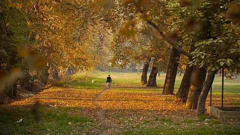கோப்புப்படம்