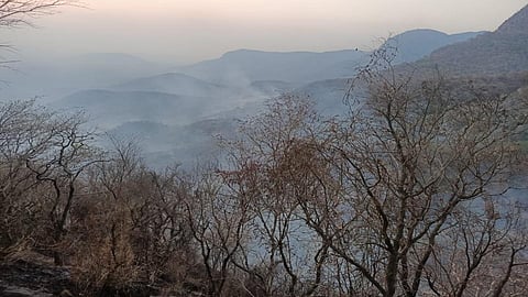 ஏற்காடு மலை அமைந்துள்ள சேர்வராயன் மலைத் தொடரில் ஏற்பட்ட தீ விபத்து காரணமாக, மலைகளில் பரவி வரும் புகைப்படலம்.