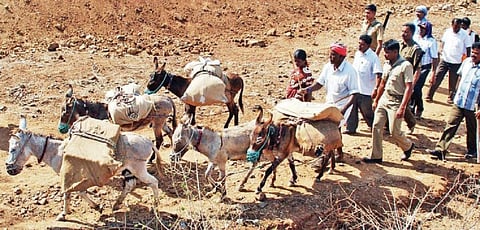 தருமபுரி மாவட்டம் கோட்டூர் மலைக்கு, கடந்த 2014-ம் ஆண்டு மக்களவைத் தேர்தலின்போது வாக்குப்பதிவு உபகரணங்கள் கழுதைகள் மீது எடுத்துச் செல்லப்பட்டன. (கோப்புப் படம்)
