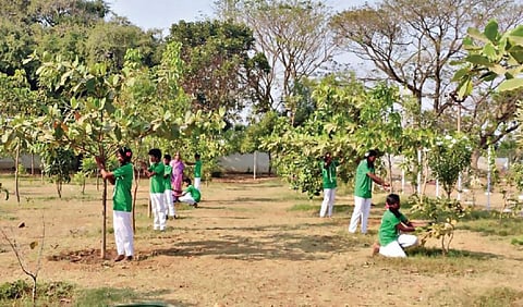 தருமபுரி மாவட்டம் பாலக்கோடு ஒன்றியம் பேளாரஅள்ளி அரசு மேல்நிலைப் பள்ளியில் பறவைகளுக்கு இரை மற்றும் தண்ணீர் வைக்கும் பணியில் மாணவ, மாணவியர் ஈடுபட்டுள்ளனர்.