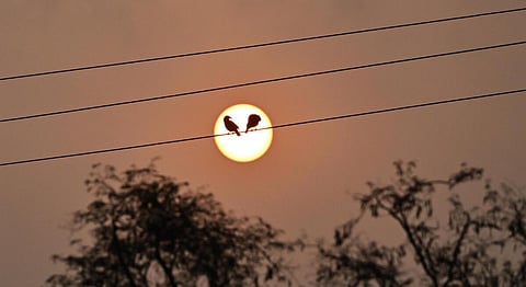 கிருஷ்ணகிரி தொகுதியில் வெயில் அதிகரிப்பால் ‘சூடு’ பிடிக்காத தேர்தல் பிரச்சாரம்