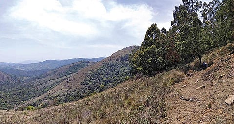 குளுகுளு ஊட்டியின் வறண்ட இன்னொரு முகம்