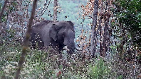 கோப்புப்படம்