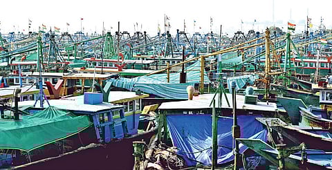 மீன்பிடித் தடைக்காலம் அமலுக்கு வந்ததை தொடர்ந்து தூத்துக்குடி மீன்பிடித் துறைமுகத்தில் கடலுக்கு செல்லாமல் கரையில் நிறுத்தி வைக்கப்பட்டுள்ள விசைப்படகுகள்.
| படம்: என்.ராஜேஷ் |