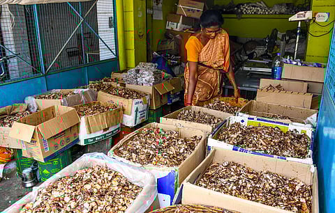 தேர்தல் நடைமுறைகளால் சேலம் லீ பஜாரில் 4-ல் ஒரு பங்காக குறைந்த புளி வரத்து!