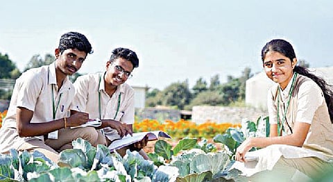 வணிகவழி வேளாண் சுற்றுலா 05: மாணவர்களுக்கு வேளாண் கல்வி