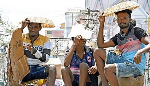 தூத்துக்குடியில் சுட்டெரிக்கும் வெயிலுடன், அனல் காற்றும் வீசுவதால், அதிலிருந்து தப்பிக்க விஇ சாலை வஉசி மார்க்கெட் அருகே சரக்கு வாகனத்தில் கூடைகளை தலையில் வைத்து மூடிக் கொண்டு பயணித்த இளைஞர்கள். படம்: என்.ராஜேஷ்.