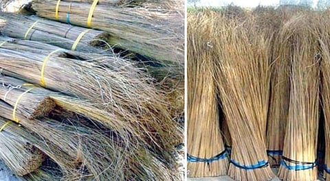 குமரி மாவட்டத்தில் தென்னை ஓலையில் இருநது பிரி்த்தெடுக்கப்பட்டு விற்பனை செய்யப்படும் ஈர்க்குகள். ( வலது ) தென்னை ஈர்க்கு கொணடு தயாரிக்கப்பட்ட துடைப்பங்கள்.