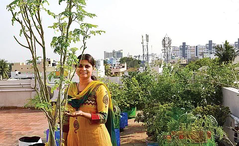 பச்சை வைரம் 30: இயற்கை அளித்த தாய்மாமன் சீதனம்