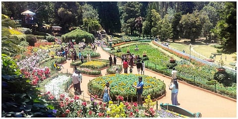 உதகையில் 126-வது மலர் கண்காட்சி: மே 10-ல் தொடங்கி 10 நாட்கள் நடைபெறுகிறது