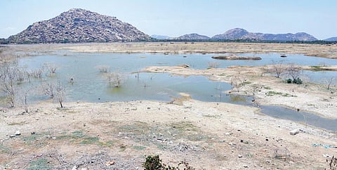 நீர் வரத்தின்றியும், கோடை வெயில் உக்கிரம் காரணமாக வும் நீர்மட்டம்
சரிந்து குட்டைப போல மாறியுள்ள கிருஷ்ணகிரி காட்டிநாயனப்பள்ளி
படேதலாவ் ஏரி.