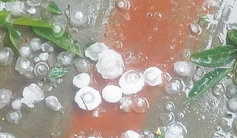 வளத்தூர் பகுதியில் பெய்த ஆலங்கட்டி மழை.