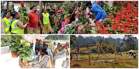 உதகையில் நடைபெறவுள்ள 126-வது மலர் கண்காட்சிக்கான பணிகள் மேற்கொள்ளப்பட்டு வருகிறது.