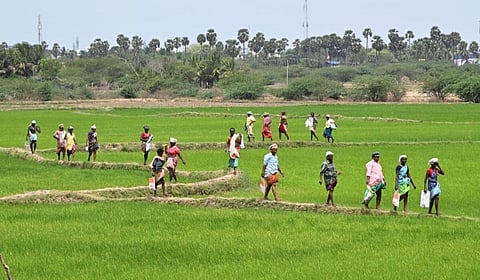 அன்புமணி ராமதாஸ்