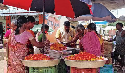 வெயிலுக்காக குடை அமைத்து தக்காளி விற்கும் வியாபாரிகள