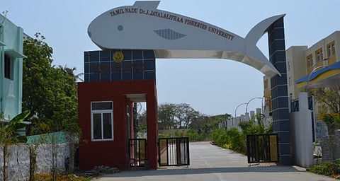 மீன்வள படிப்புகளில் சேர ஜூன் 6 கடைசி